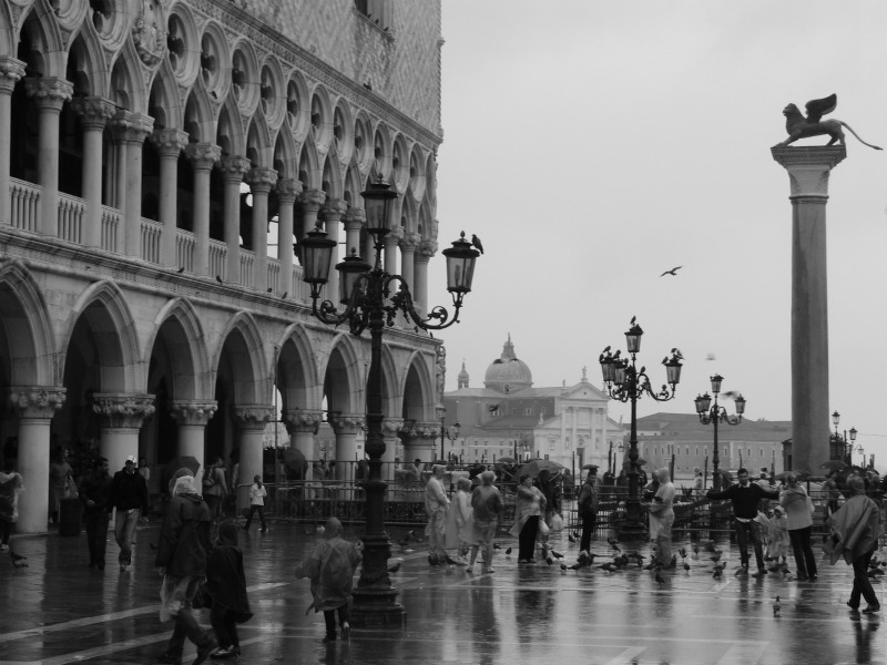 Venice 2012 Theme Announced: ‘Common Ground’